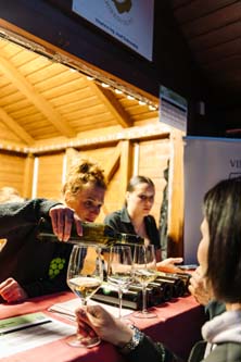 Festival vína VOC Znojmo